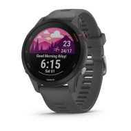 Smartwatch Garmin Forerunner 255 46mm Slate Gray
